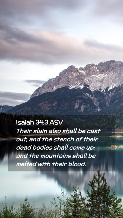 Picture 02 - Isaiah 34:3 ASV Mobile Phone Wallpaper - Their slain also shall be cast out, and the - Mobile Bible Verse Wallpaper