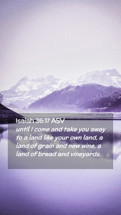 Picture 02 - Isaiah 36:17 ASV Mobile Phone Wallpaper - until I come and take you away to a land like - Mobile Bible Verse Wallpaper