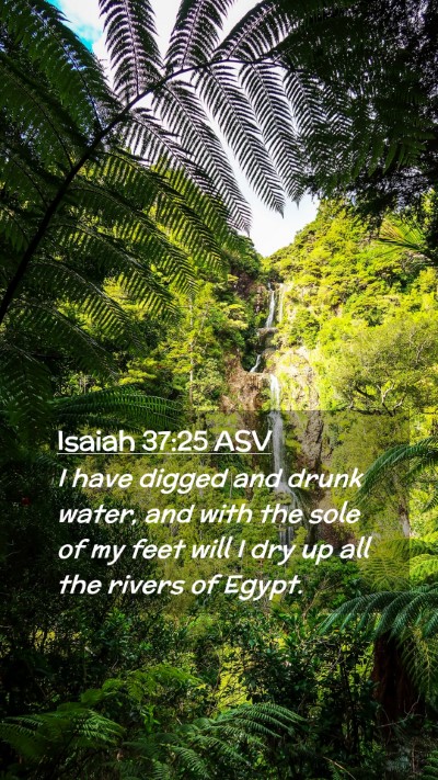 Picture 02 - Isaiah 37:25 ASV Mobile Phone Wallpaper - I have digged and drunk water, and with the sole - Mobile Bible Verse Wallpaper