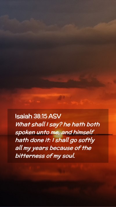 Picture 02 - Isaiah 38:15 ASV Mobile Phone Wallpaper - What shall I say? he hath both spoken unto me, - Mobile Bible Verse Wallpaper