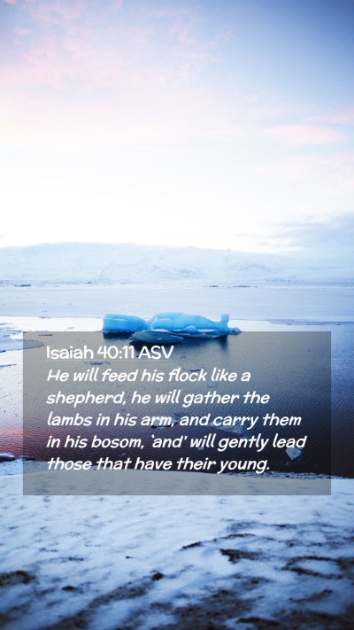 Picture 02 - Isaiah 40:11 ASV Mobile Phone Wallpaper - He will feed his flock like a shepherd, he will - Mobile Bible Verse Wallpaper