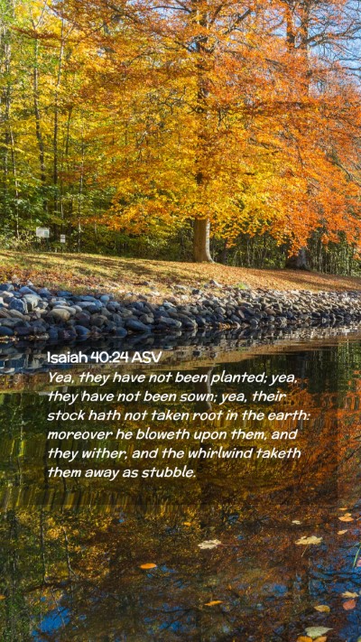 Picture 02 - Isaiah 40:24 ASV Mobile Phone Wallpaper - Yea, they have not been planted; yea, they have - Mobile Bible Verse Wallpaper