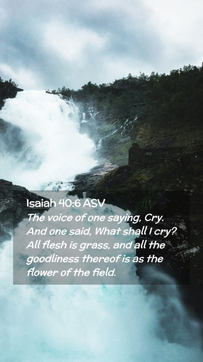 Picture 02 - Isaiah 40:6 ASV Mobile Phone Wallpaper - The voice of one saying, Cry. And one said, What - Mobile Bible Verse Wallpaper