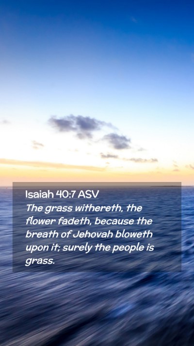 Picture 02 - Isaiah 40:7 ASV Mobile Phone Wallpaper - The grass withereth, the flower fadeth, because - Mobile Bible Verse Wallpaper