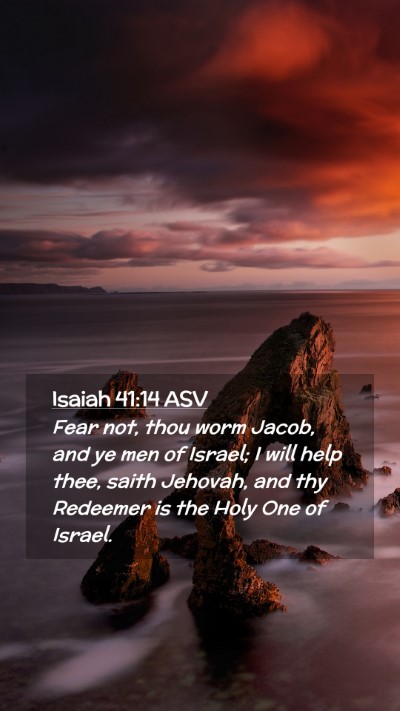 Picture 02 - Isaiah 41:14 ASV Mobile Phone Wallpaper - Fear not, thou worm Jacob, and ye men of Israel; - Mobile Bible Verse Wallpaper