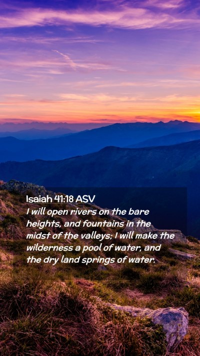 Picture 02 - Isaiah 41:18 ASV Mobile Phone Wallpaper - I will open rivers on the bare heights, and - Mobile Bible Verse Wallpaper