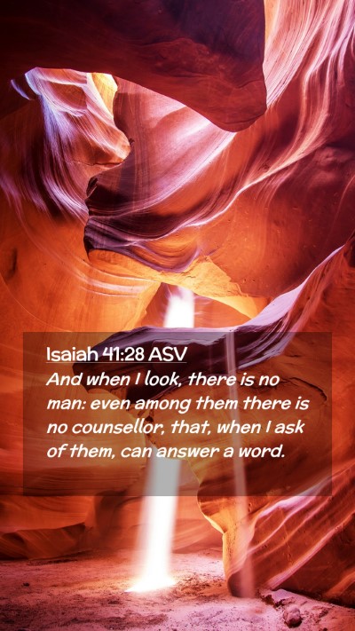 Picture 02 - Isaiah 41:28 ASV Mobile Phone Wallpaper - And when I look, there is no man: even among them - Mobile Bible Verse Wallpaper