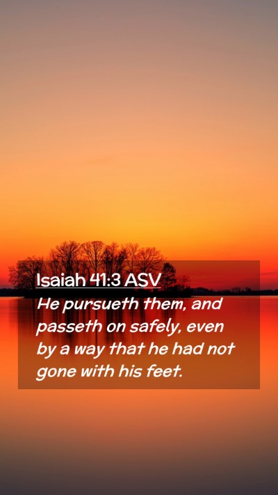 Picture 02 - Isaiah 41:3 ASV Mobile Phone Wallpaper - He pursueth them, and passeth on safely, even by - Mobile Bible Verse Wallpaper