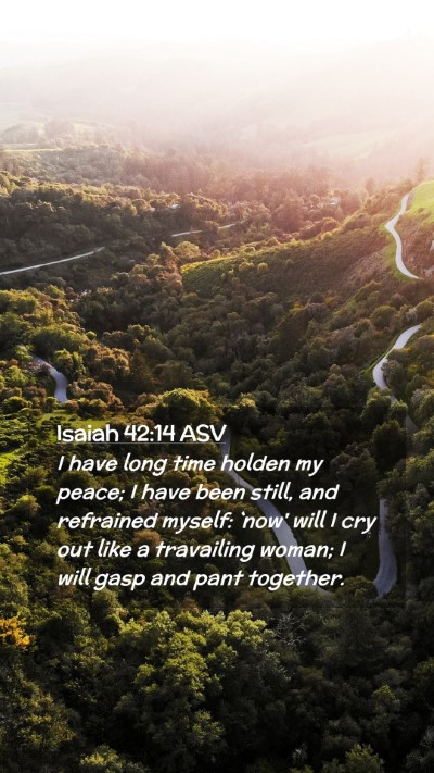 Picture 02 - Isaiah 42:14 ASV Mobile Phone Wallpaper - I have long time holden my peace; I have been - Mobile Bible Verse Wallpaper