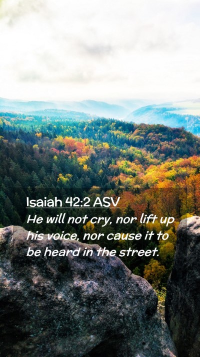 Picture 02 - Isaiah 42:2 ASV Mobile Phone Wallpaper - He will not cry, nor lift up his voice, nor cause - Mobile Bible Verse Wallpaper
