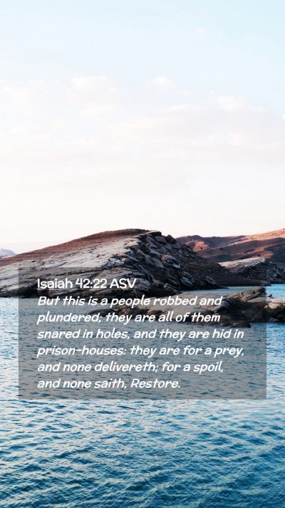 Picture 02 - Isaiah 42:22 ASV Mobile Phone Wallpaper - But this is a people robbed and plundered; they - Mobile Bible Verse Wallpaper