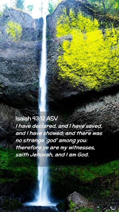 Picture 02 - Isaiah 43:12 ASV Mobile Phone Wallpaper - I have declared, and I have saved, and I have - Mobile Bible Verse Wallpaper