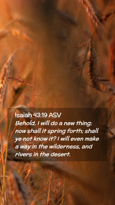 Picture 02 - Isaiah 43:19 ASV Mobile Phone Wallpaper - Behold, I will do a new thing; now shall it - Mobile Bible Verse Wallpaper