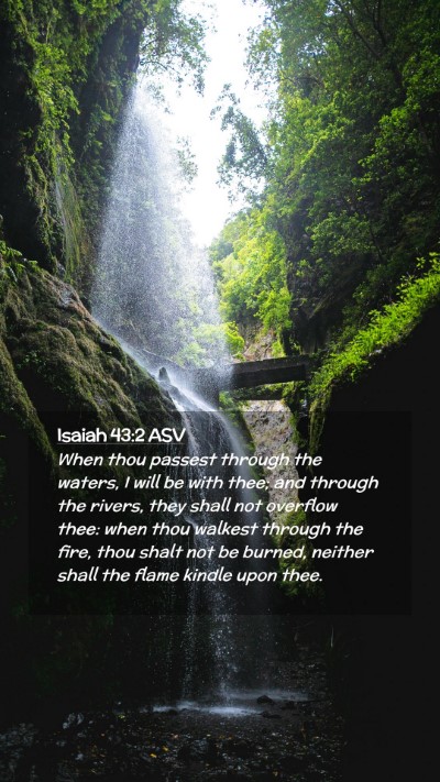 Picture 02 - Isaiah 43:2 ASV Mobile Phone Wallpaper - When thou passest through the waters, I will be - Mobile Bible Verse Wallpaper
