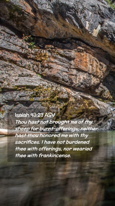 Picture 02 - Isaiah 43:23 ASV Mobile Phone Wallpaper - Thou hast not brought me of thy sheep for - Mobile Bible Verse Wallpaper