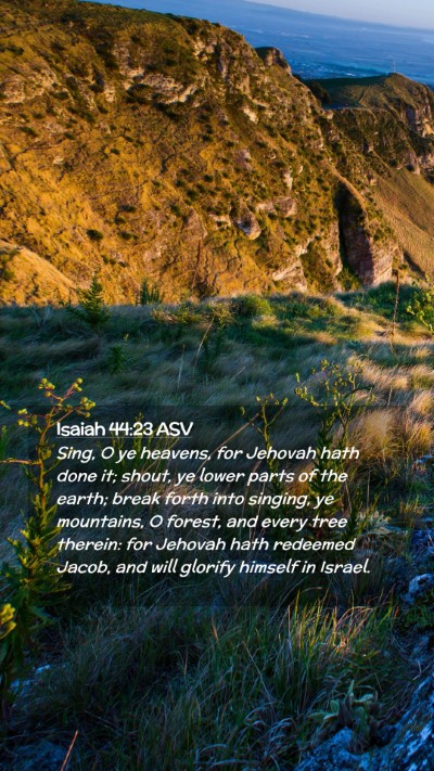 Picture 02 - Isaiah 44:23 ASV Mobile Phone Wallpaper - Sing, O ye heavens, for Jehovah hath done it; - Mobile Bible Verse Wallpaper