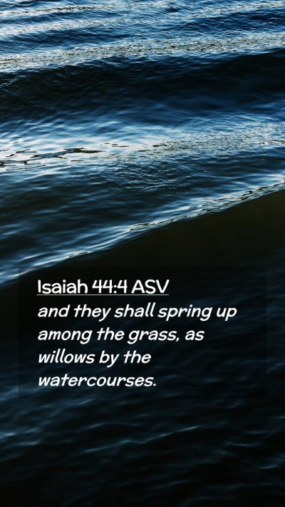 Picture 02 - Isaiah 44:4 ASV Mobile Phone Wallpaper - and they shall spring up among the grass, as - Mobile Bible Verse Wallpaper