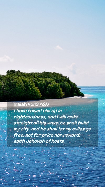 Picture 02 - Isaiah 45:13 ASV Mobile Phone Wallpaper - I have raised him up in righteousness, and I will - Mobile Bible Verse Wallpaper