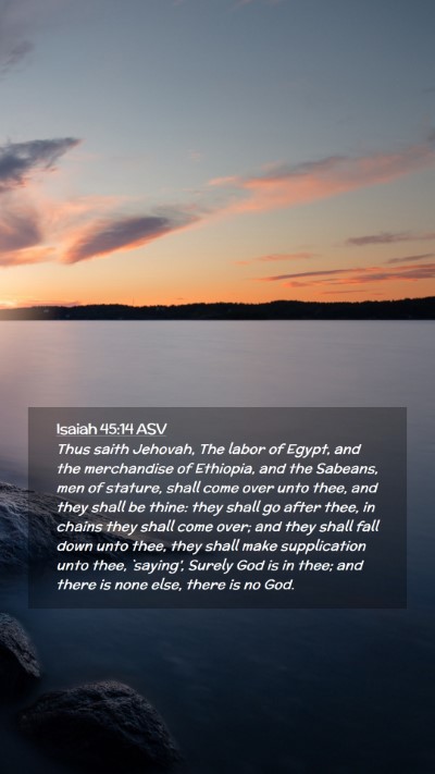 Picture 02 - Isaiah 45:14 ASV Mobile Phone Wallpaper - Thus saith Jehovah, The labor of Egypt, and the - Mobile Bible Verse Wallpaper
