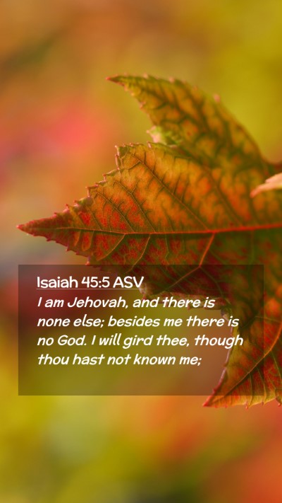 Picture 02 - Isaiah 45:5 ASV Mobile Phone Wallpaper - I am Jehovah, and there is none else; besides me - Mobile Bible Verse Wallpaper