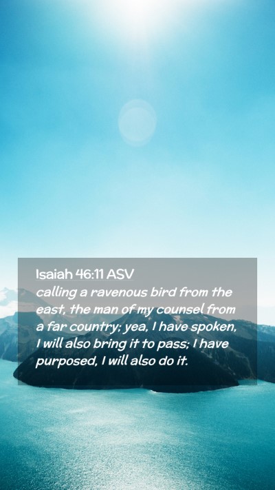 Picture 02 - Isaiah 46:11 ASV Mobile Phone Wallpaper - calling a ravenous bird from the east, the man of - Mobile Bible Verse Wallpaper