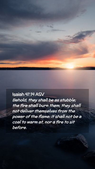 Picture 02 - Isaiah 47:14 ASV Mobile Phone Wallpaper - Behold, they shall be as stubble; the fire shall - Mobile Bible Verse Wallpaper