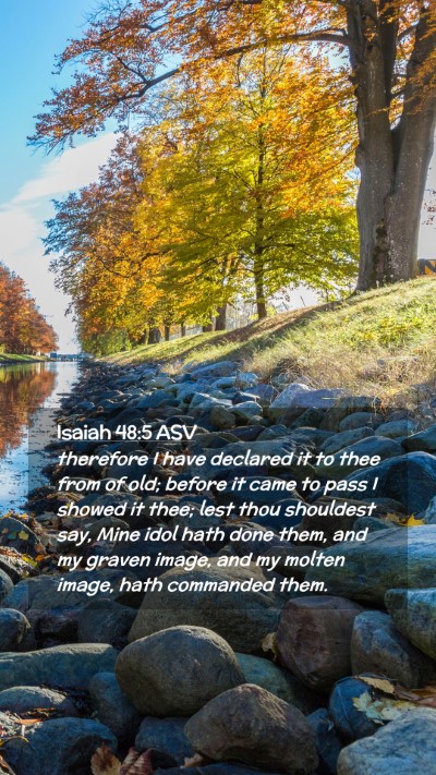 Picture 02 - Isaiah 48:5 ASV Mobile Phone Wallpaper - therefore I have declared it to thee from of old; - Mobile Bible Verse Wallpaper