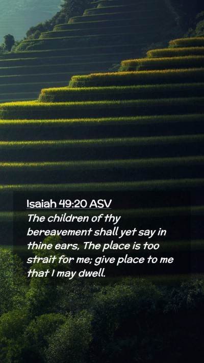 Picture 02 - Isaiah 49:20 ASV Mobile Phone Wallpaper - The children of thy bereavement shall yet say in - Mobile Bible Verse Wallpaper