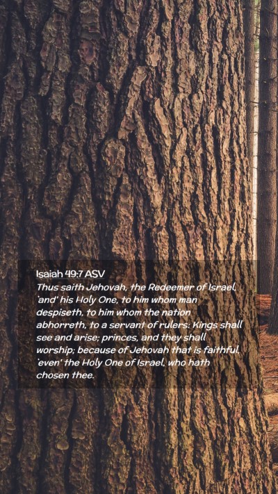 Picture 02 - Isaiah 49:7 ASV Mobile Phone Wallpaper - Thus saith Jehovah, the Redeemer of Israel, `and' - Mobile Bible Verse Wallpaper