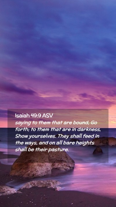 Picture 02 - Isaiah 49:9 ASV Mobile Phone Wallpaper - saying to them that are bound, Go forth; to them - Mobile Bible Verse Wallpaper