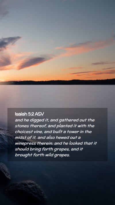 Picture 02 - Isaiah 5:2 ASV Mobile Phone Wallpaper - and he digged it, and gathered out the stones - Mobile Bible Verse Wallpaper
