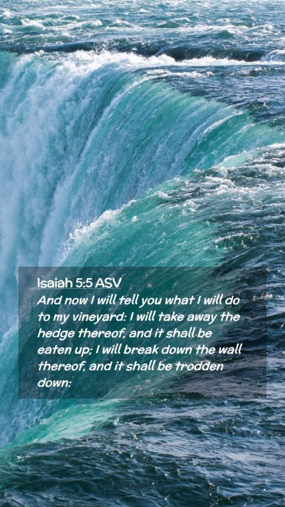 Picture 02 - Isaiah 5:5 ASV Mobile Phone Wallpaper - And now I will tell you what I will do to my - Mobile Bible Verse Wallpaper