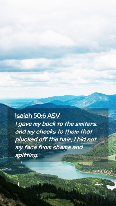 Picture 02 - Isaiah 50:6 ASV Mobile Phone Wallpaper - I gave my back to the smiters, and my cheeks to - Mobile Bible Verse Wallpaper