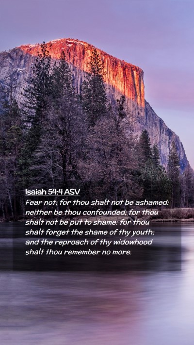 Picture 02 - Isaiah 54:4 ASV Mobile Phone Wallpaper - Fear not; for thou shalt not be ashamed: neither - Mobile Bible Verse Wallpaper