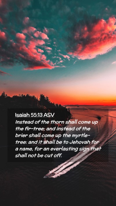 Picture 02 - Isaiah 55:13 ASV Mobile Phone Wallpaper - Instead of the thorn shall come up the fir-tree; - Mobile Bible Verse Wallpaper