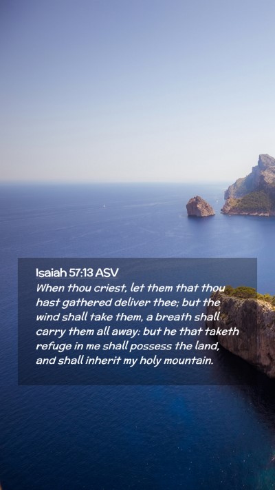 Picture 02 - Isaiah 57:13 ASV Mobile Phone Wallpaper - When thou criest, let them that thou hast - Mobile Bible Verse Wallpaper