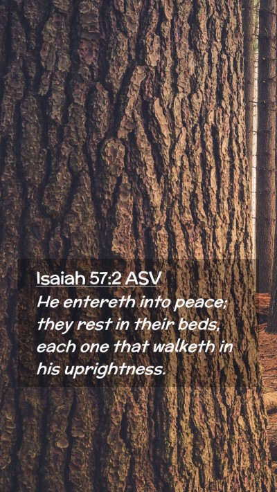 Picture 02 - Isaiah 57:2 ASV Mobile Phone Wallpaper - He entereth into peace; they rest in their beds, - Mobile Bible Verse Wallpaper