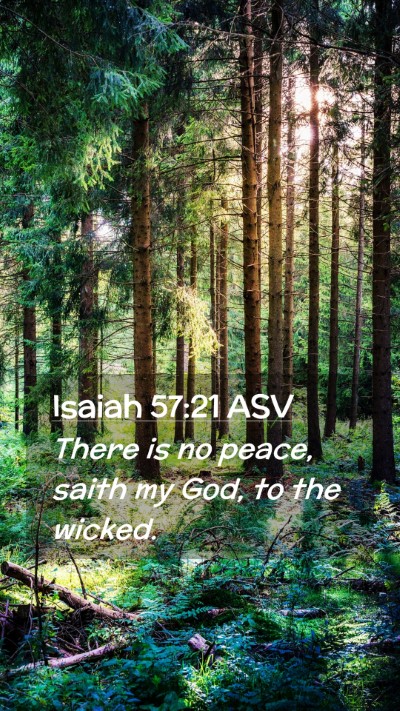 Picture 02 - Isaiah 57:21 ASV Mobile Phone Wallpaper - There is no peace, saith my God, to the - Mobile Bible Verse Wallpaper