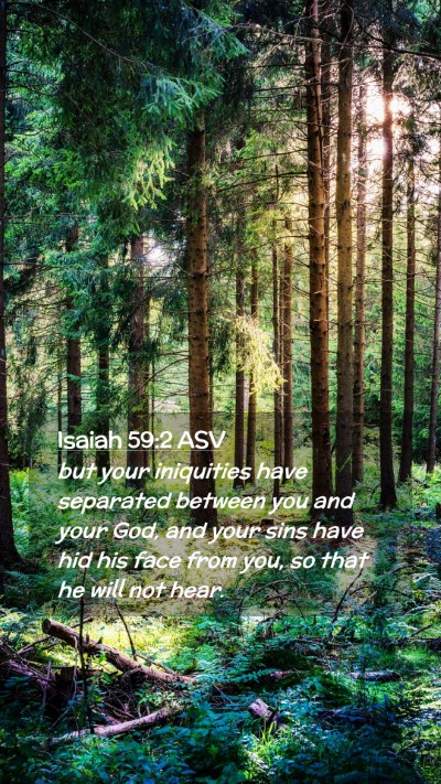 Picture 02 - Isaiah 59:2 ASV Mobile Phone Wallpaper - but your iniquities have separated between you - Mobile Bible Verse Wallpaper