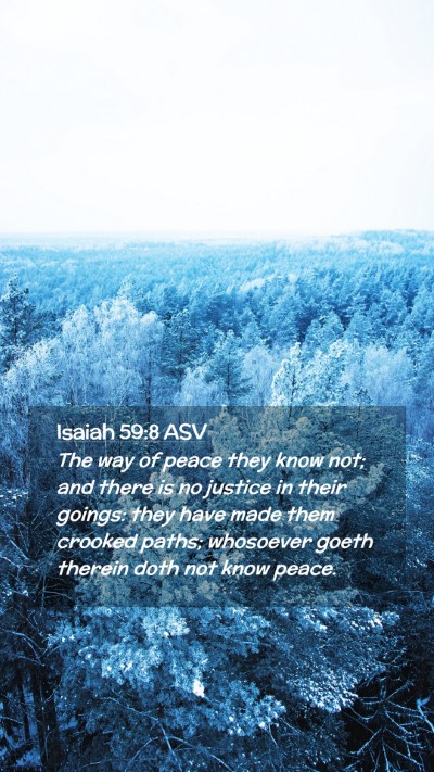 Picture 02 - Isaiah 59:8 ASV Mobile Phone Wallpaper - The way of peace they know not; and there is no - Mobile Bible Verse Wallpaper