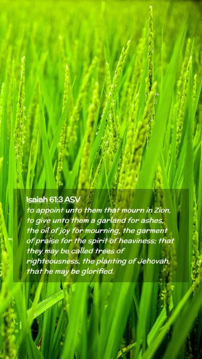 Picture 02 - Isaiah 61:3 ASV Mobile Phone Wallpaper - to appoint unto them that mourn in Zion, to give - Mobile Bible Verse Wallpaper