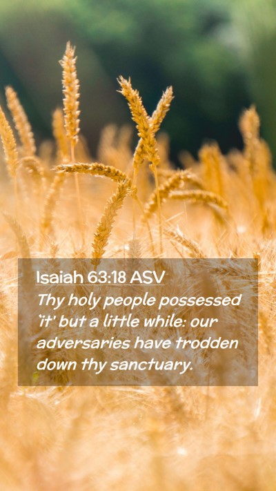 Picture 02 - Isaiah 63:18 ASV Mobile Phone Wallpaper - Thy holy people possessed `it' but a little - Mobile Bible Verse Wallpaper