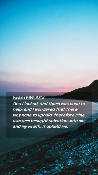 Picture 02 - Isaiah 63:5 ASV Mobile Phone Wallpaper - And I looked, and there was none to help; and I - Mobile Bible Verse Wallpaper