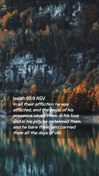 Picture 02 - Isaiah 63:9 ASV Mobile Phone Wallpaper - In all their affliction he was afflicted, and the - Mobile Bible Verse Wallpaper