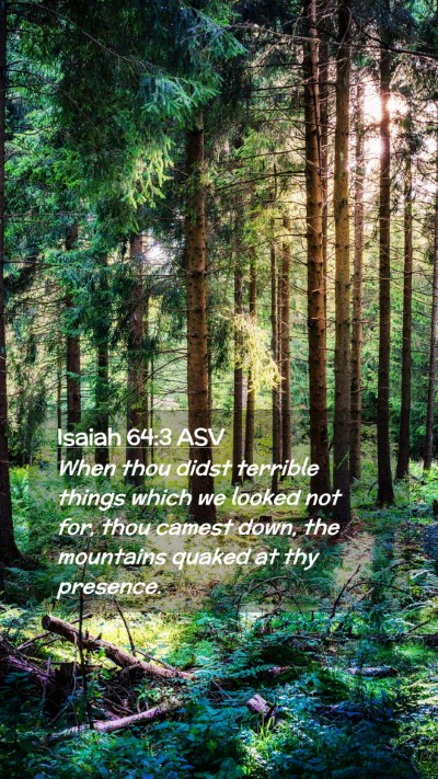 Picture 02 - Isaiah 64:3 ASV Mobile Phone Wallpaper - When thou didst terrible things which we looked - Mobile Bible Verse Wallpaper