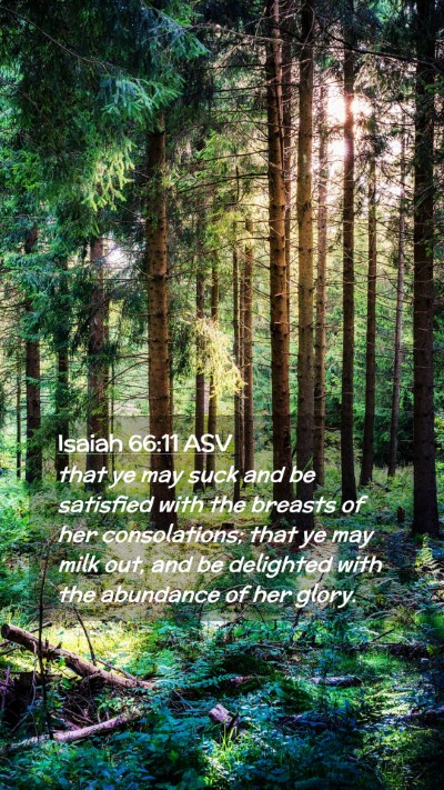 Picture 02 - Isaiah 66:11 ASV Mobile Phone Wallpaper - that ye may suck and be satisfied with the - Mobile Bible Verse Wallpaper
