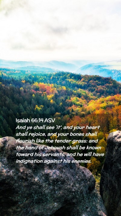 Picture 02 - Isaiah 66:14 ASV Mobile Phone Wallpaper - And ye shall see `it', and your heart shall - Mobile Bible Verse Wallpaper