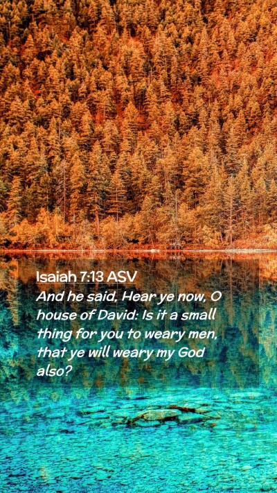Picture 02 - Isaiah 7:13 ASV Mobile Phone Wallpaper - And he said, Hear ye now, O house of David: Is it - Mobile Bible Verse Wallpaper
