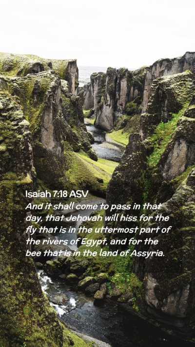 Picture 02 - Isaiah 7:18 ASV Mobile Phone Wallpaper - And it shall come to pass in that day, that - Mobile Bible Verse Wallpaper