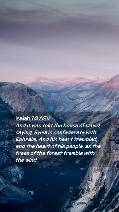 Picture 02 - Isaiah 7:2 ASV Mobile Phone Wallpaper - And it was told the house of David, saying, Syria - Mobile Bible Verse Wallpaper